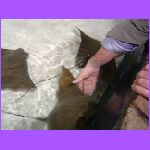 Josh Touching Fish 7.jpg